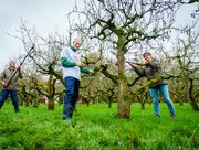 NLdoet zaterdag 14 maart