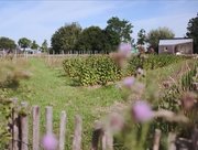 Vertoning film 'Land voor het leven'