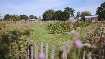 Vertoning film 'Land voor het leven'