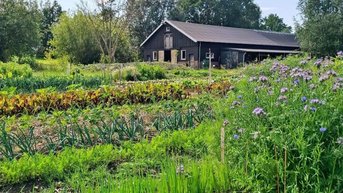 Good Food fietsocht Hazelland